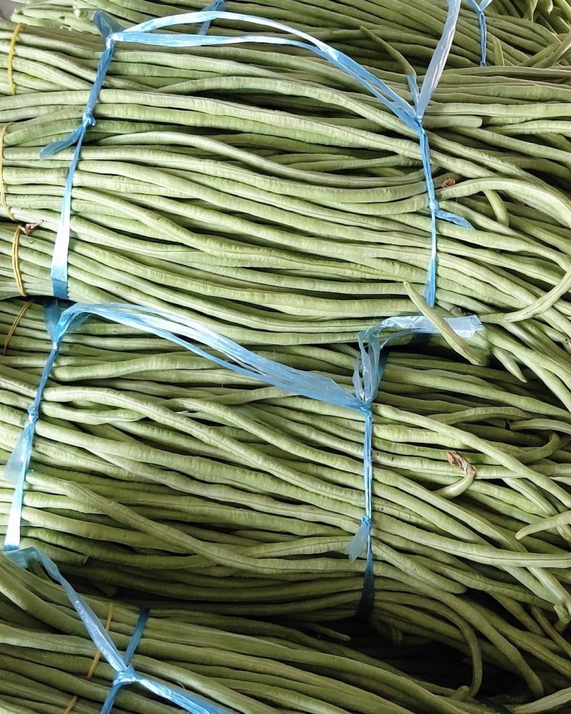 新鲜长豆角豇豆现摘现发肉质肥厚产地直供批发