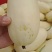 各种甜瓜大量上市，品种齐全