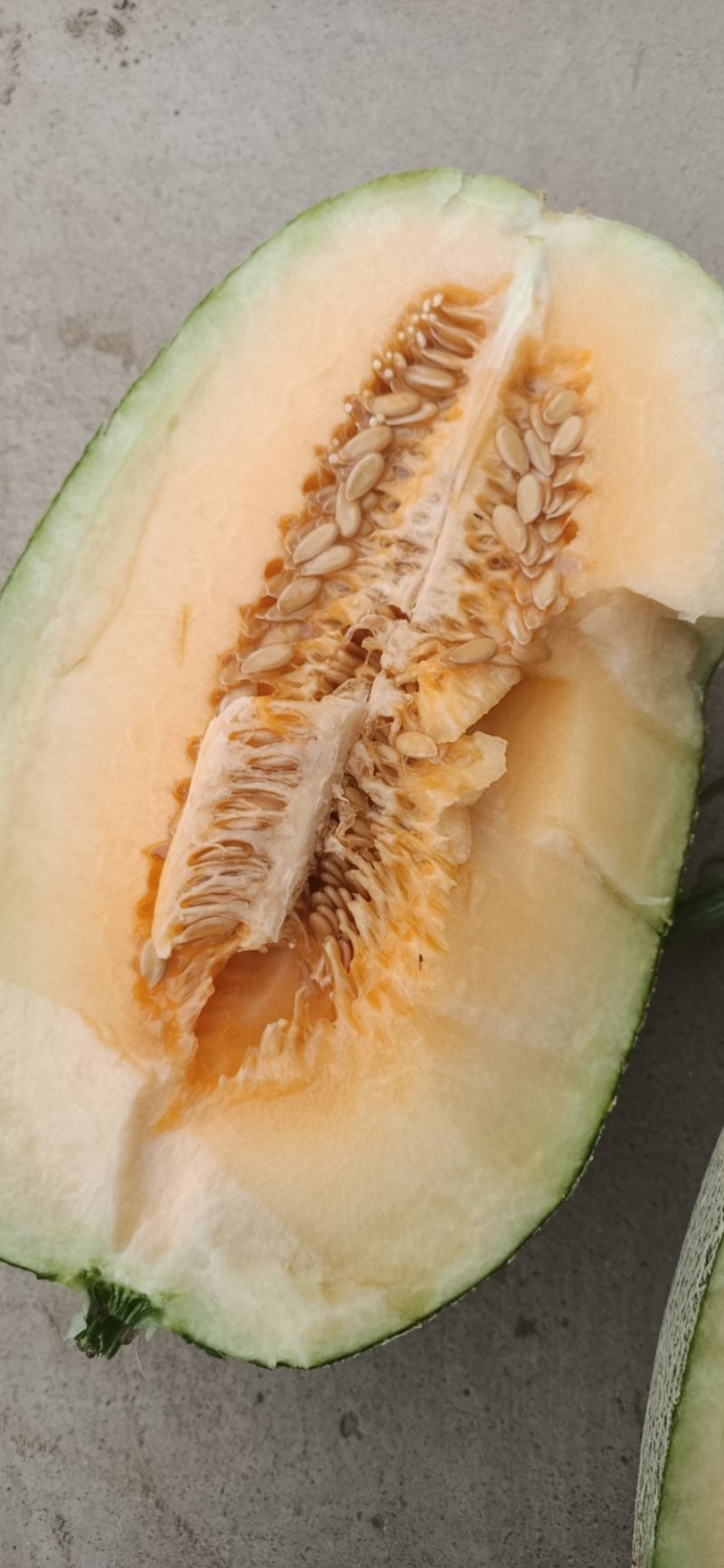 哈密瓜