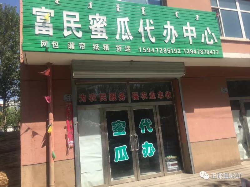 香瓜巨甜即将上市