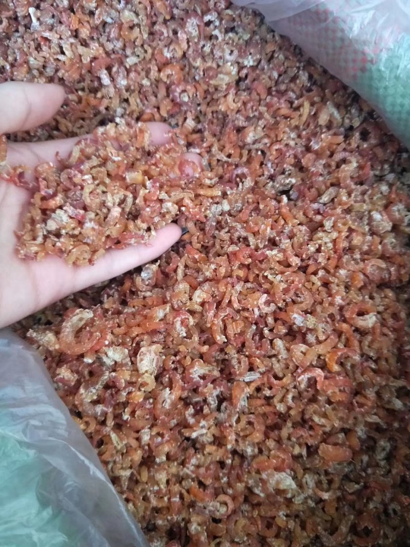 渤海湾山东长岛金钩海米无添加干度好，不咸，鲜度高