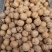 山西核桃25年新货农户货果仁饱满仁子好量大优惠