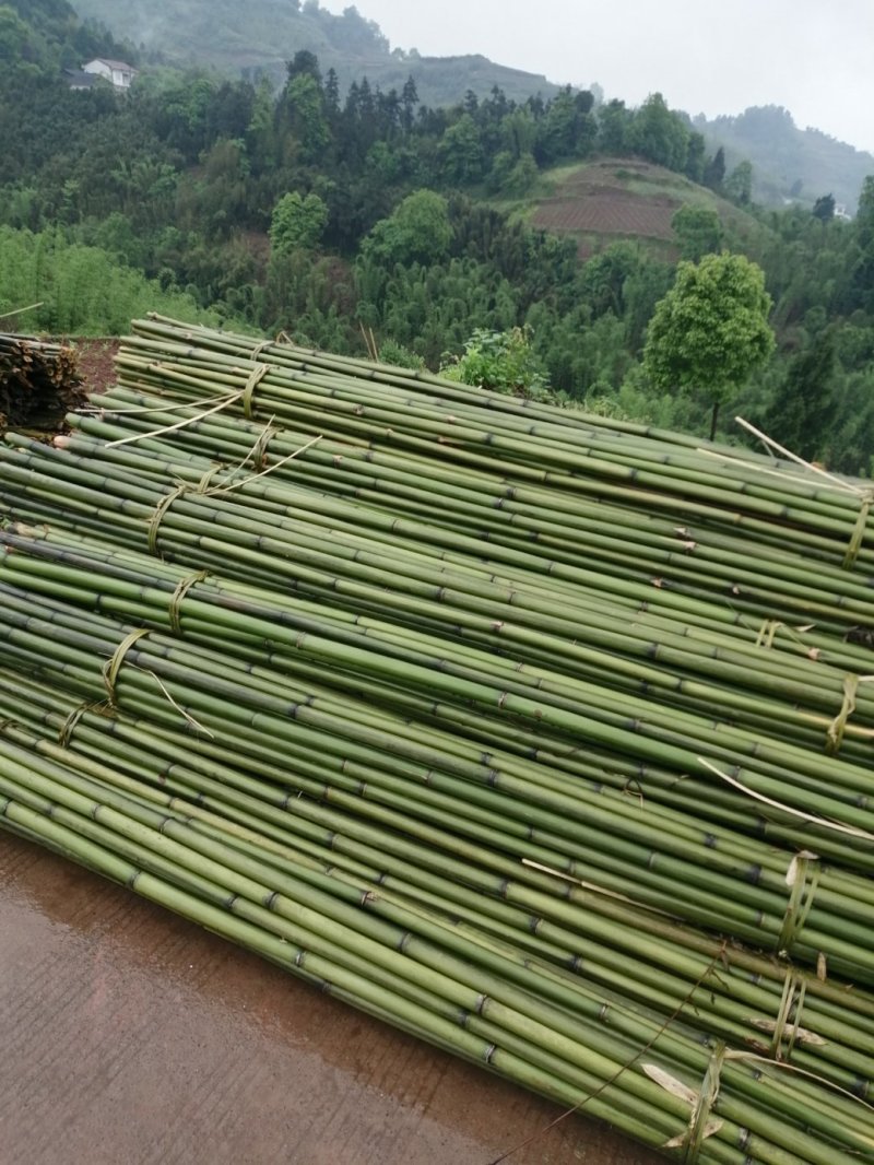 诚邀合作，菜架竹，撑杆，工地外架，