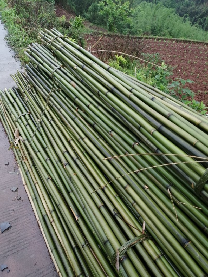 诚邀合作，菜架竹，撑杆，工地外架，