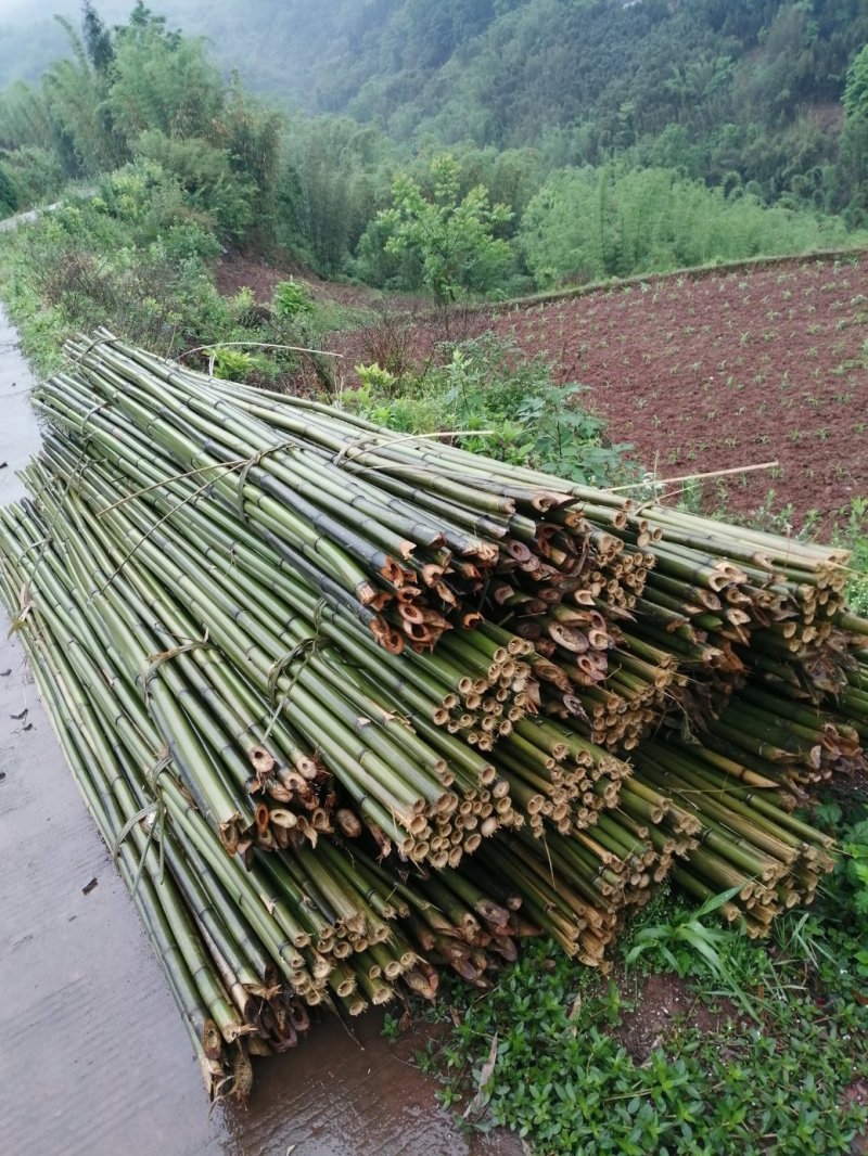 诚邀合作，菜架竹，撑杆，工地外架，