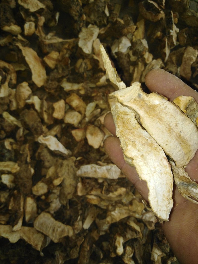 土茯苓干片广西纯粉质白肉