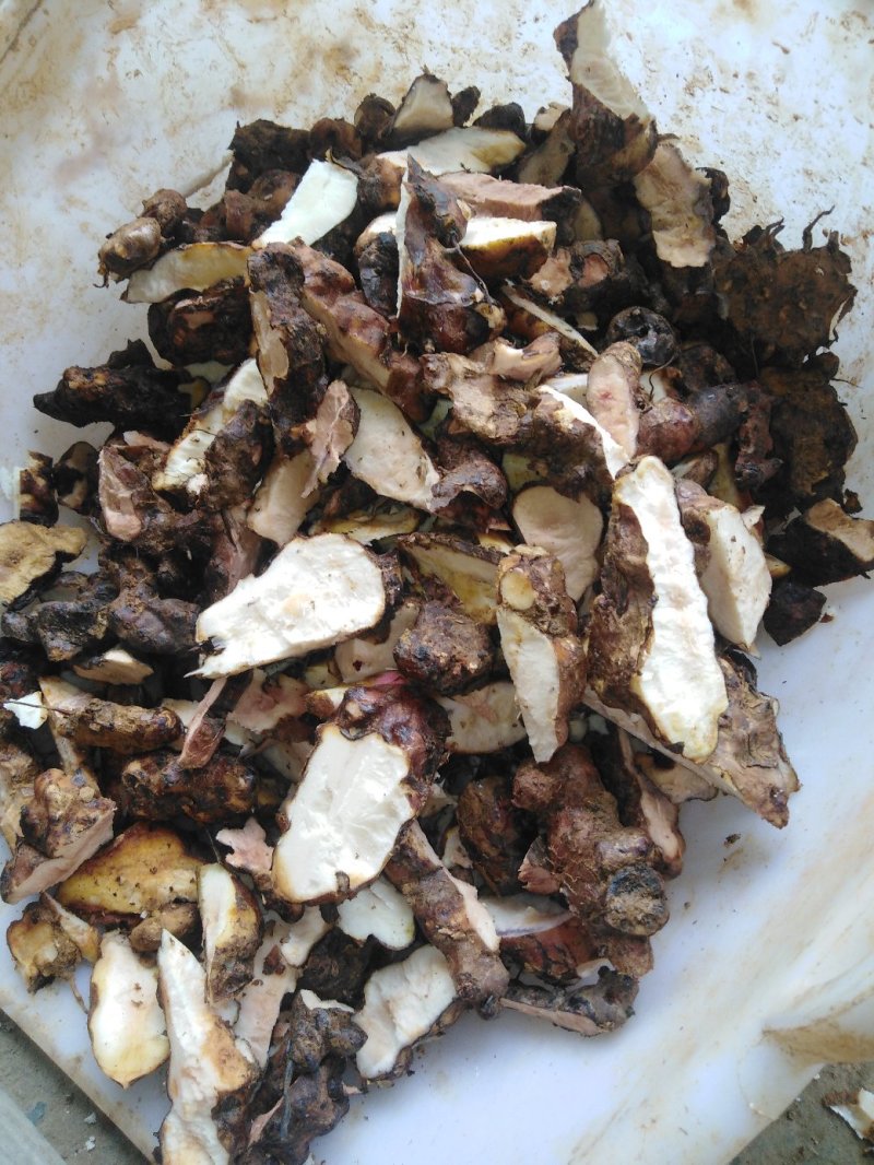土茯苓干片广西纯粉质白肉