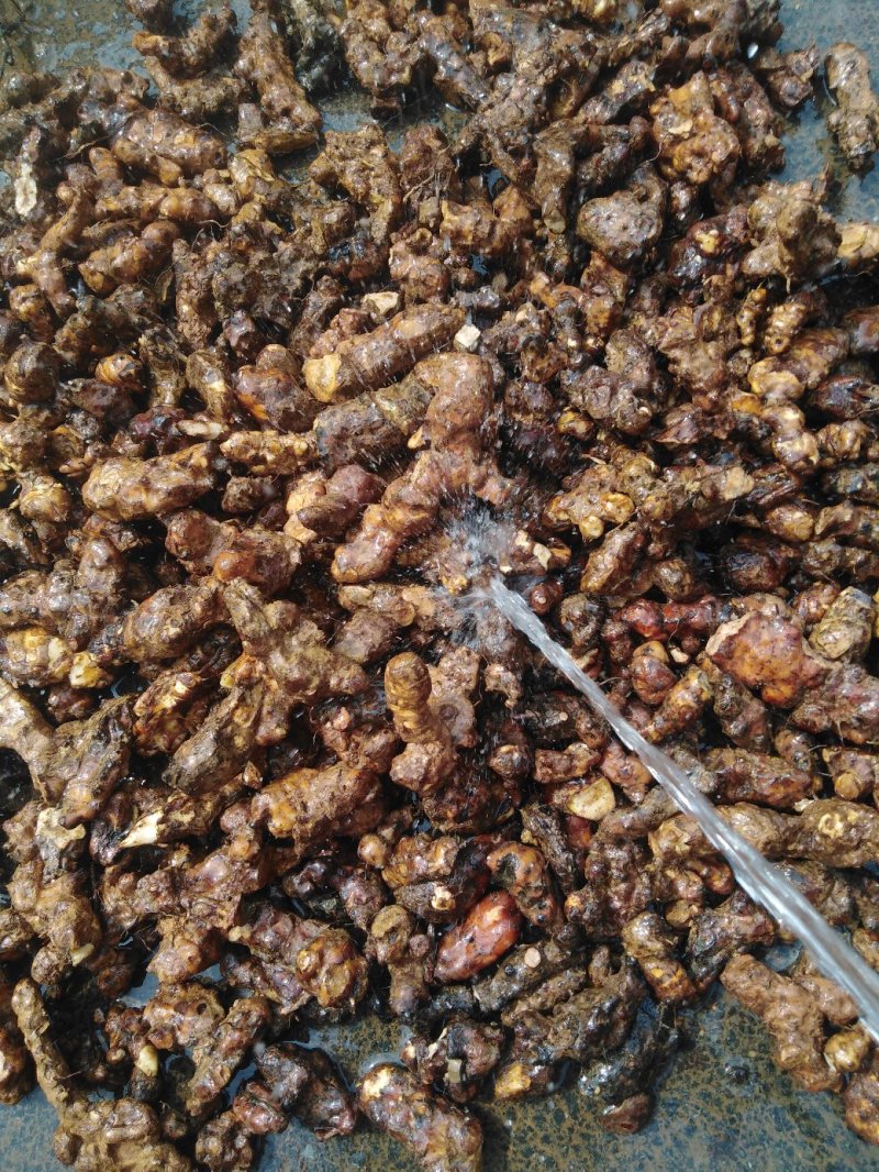 土茯苓干片广西纯粉质白肉