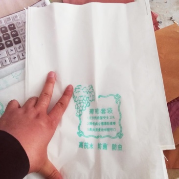 葡萄袋，桃子袋，梨袋，苹果袋，各种水果袋都有