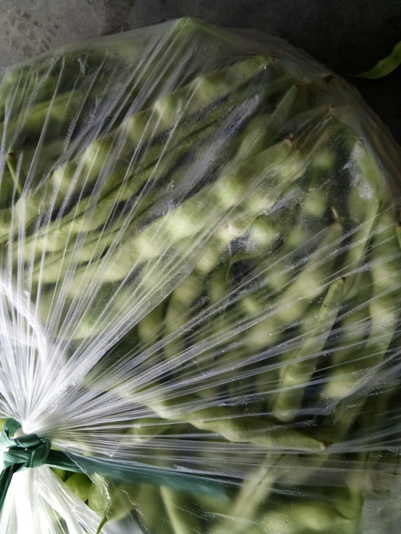 大青豆（新鲜大青豆现货）