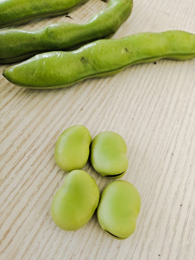 蚕豆。大量上市有需求联系。现有冷库货