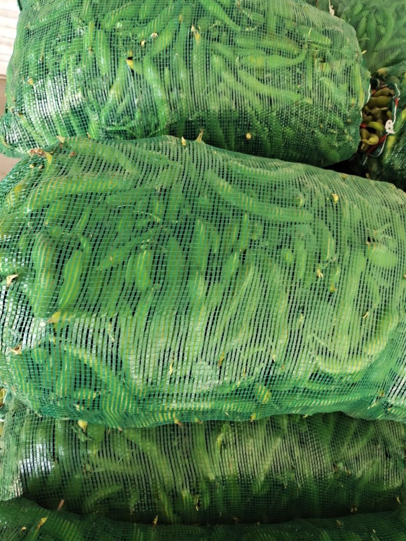 蚕豆。大量上市有需求联系。现有冷库货