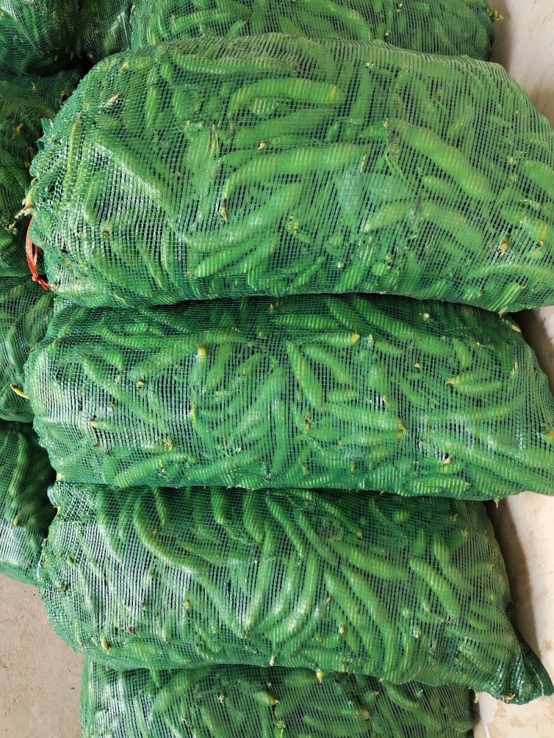 蚕豆。大量上市有需求联系。现有冷库货