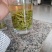 信阳毛尖商城高山茶