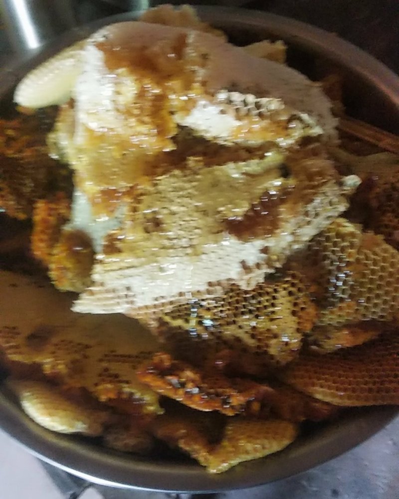 蜂糖土蜂。。。。。。。