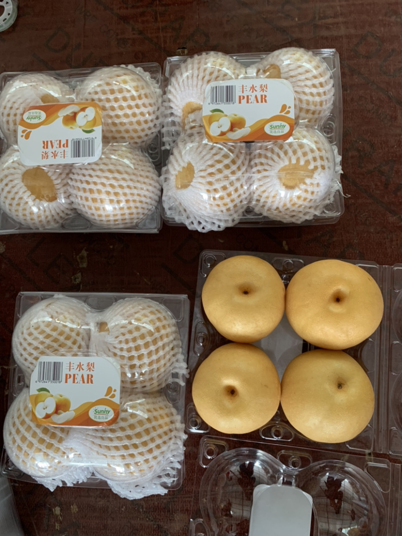 丰水梨七月初上市，山东冠县丰水梨产地万亩梨园直供