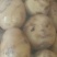 土豆