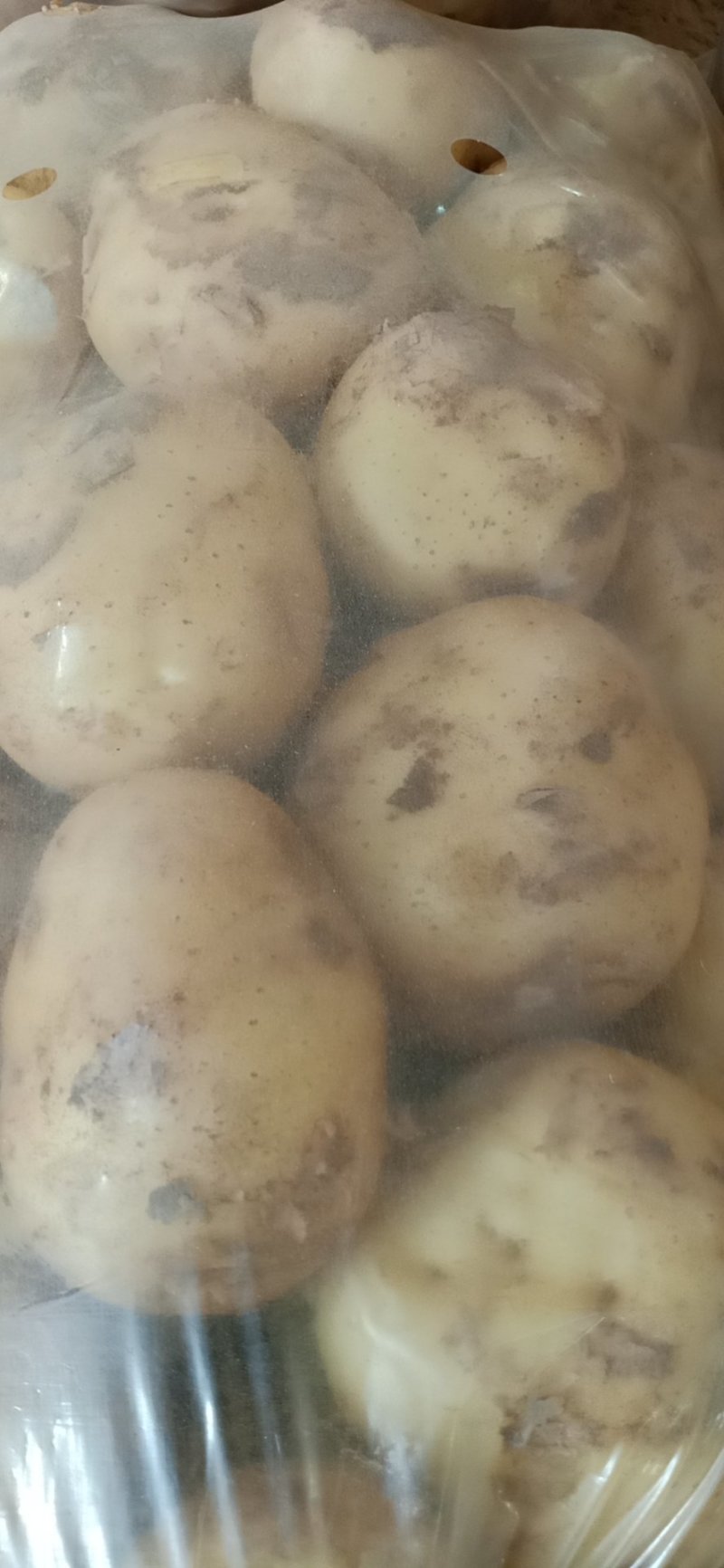 土豆