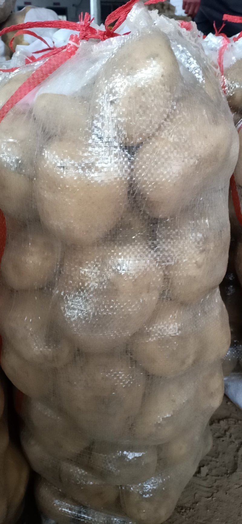 土豆