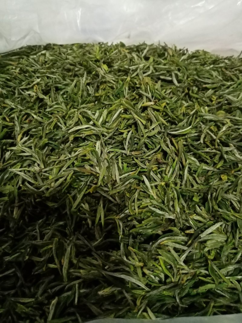 2020年春茶明前茶自家句容本地翠眉