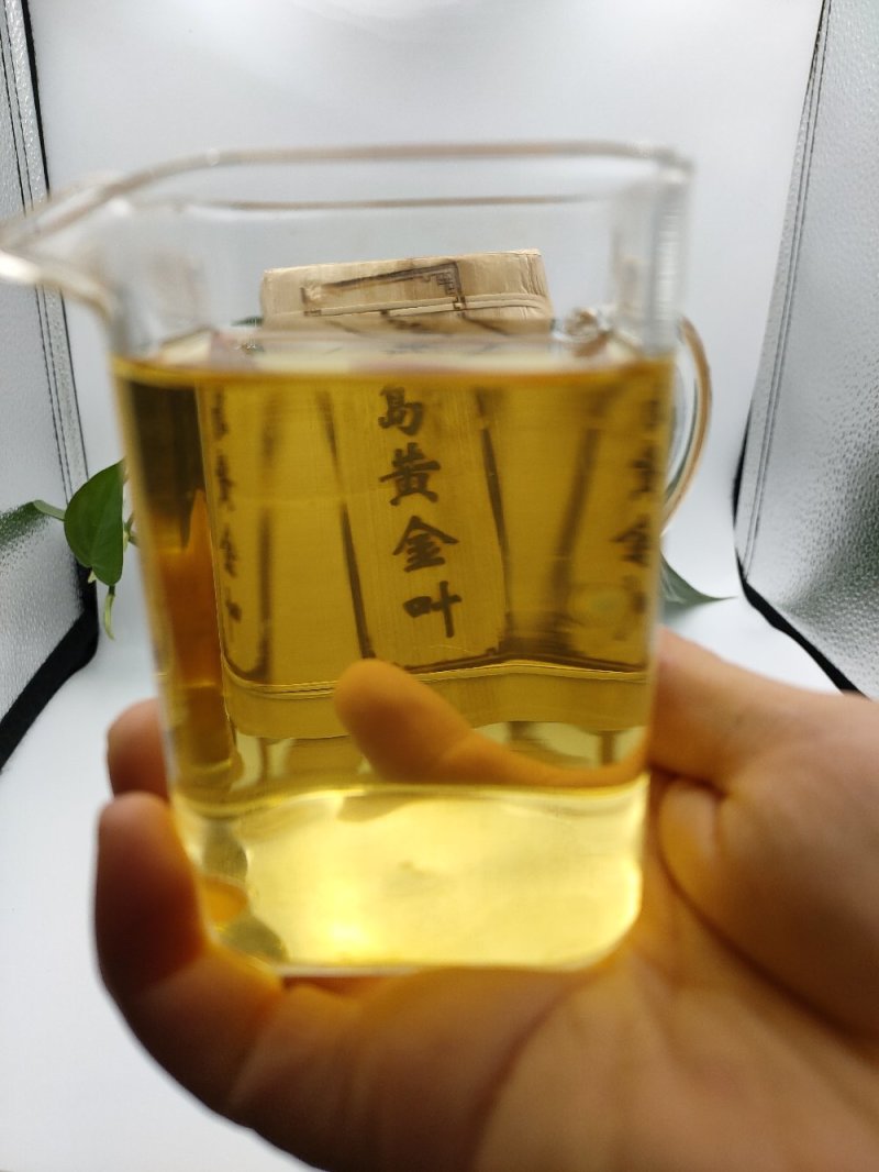 冰岛普洱茶生茶黄金叶250克生砖干净卫生手工精选