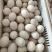 河北鸭蛋…咸鸭蛋，新鲜双黄蛋，大种蛋………………