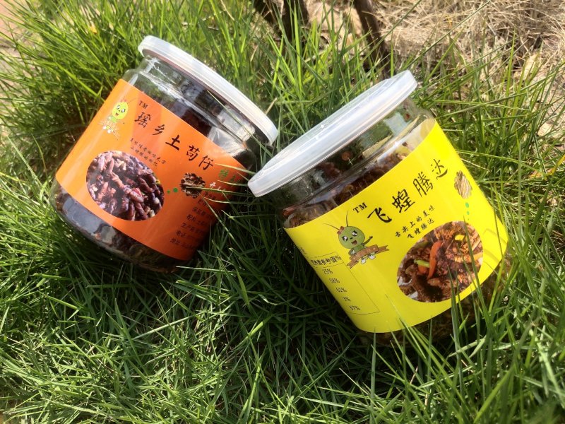 【油炸蚂蚱】蚂蚱罐头、蝗虫休闲小吃开盖即食26.8元包邮