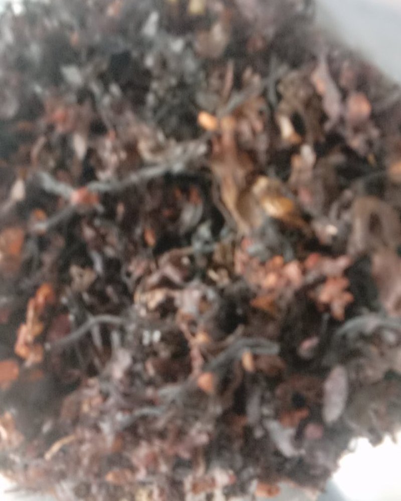 海藻，常年批发供应各种规格海藻中药材量大从优
