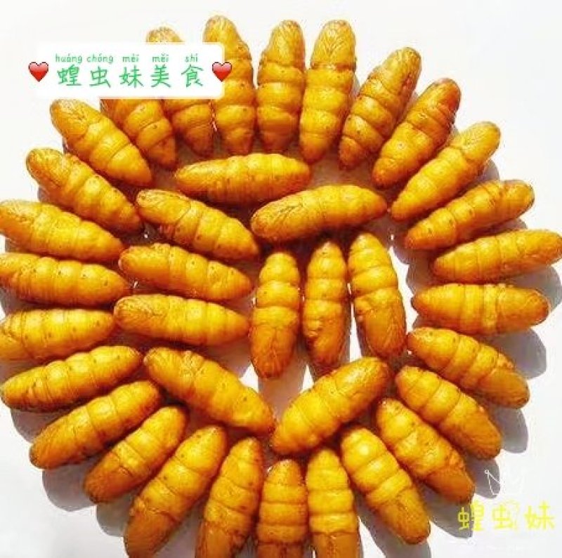香辣蚕蛹罐头休闲小吃开盖即食19.8元包邮