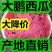万亩大鹏甜王西瓜京欣，【包熟包甜】产地大降价，皮薄头岔