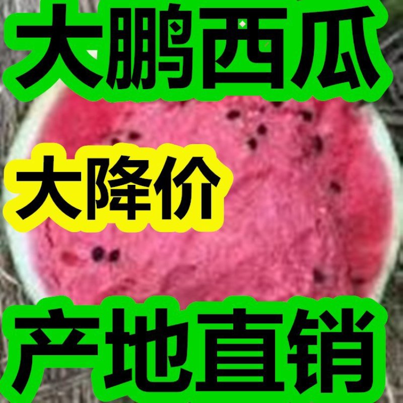 万亩大鹏甜王西瓜京欣，【包熟包甜】产地大降价，皮薄头岔