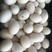 河北鸭蛋，松花蛋，白洋淀特产皮蛋，精品松花蛋