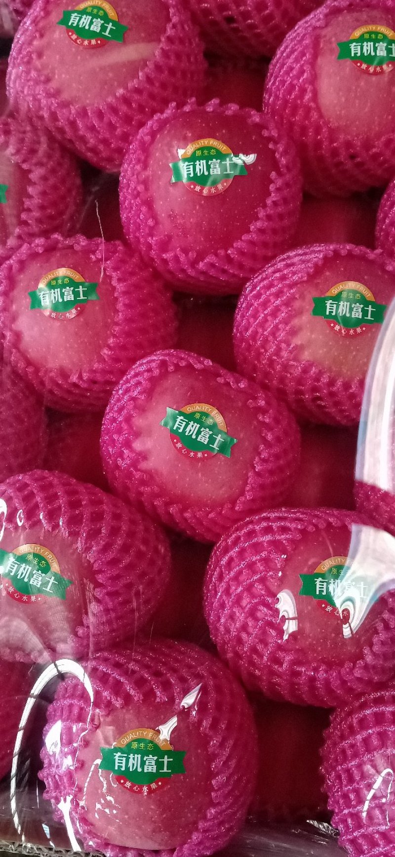 东马屯富士