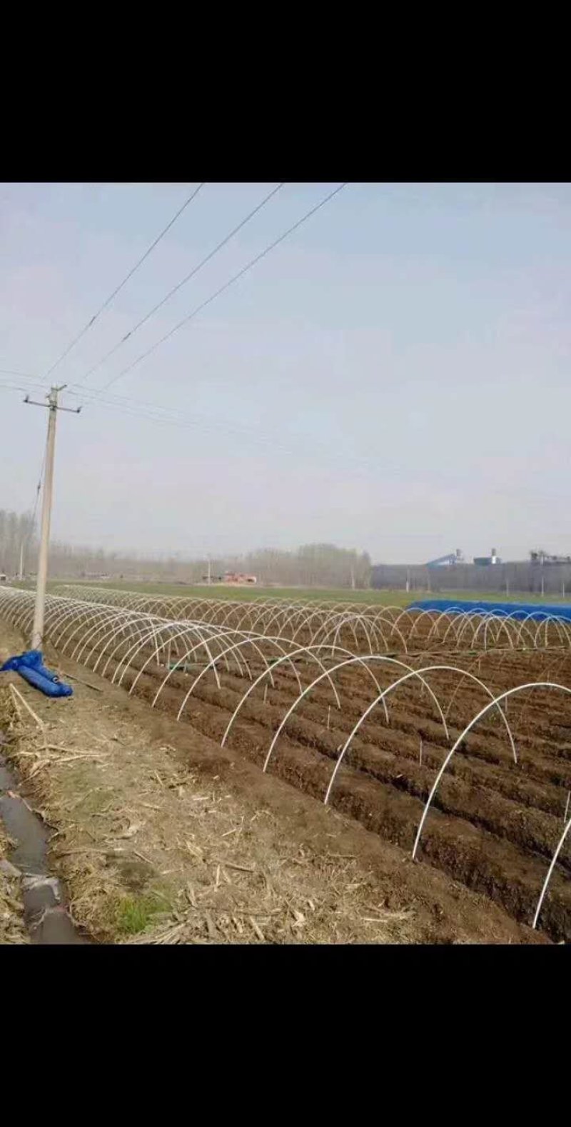 玻璃纤维杆，小拱棚杆，葡萄避雨棚，果苗定植杆等！