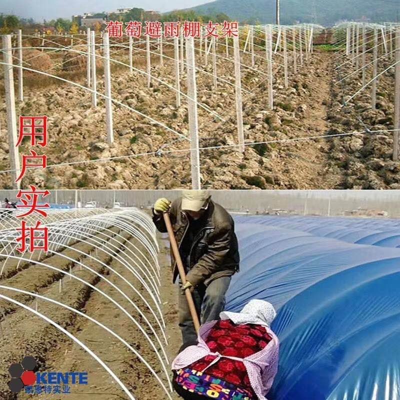 玻璃纤维杆，小拱棚杆，葡萄避雨棚，果苗定植杆等！