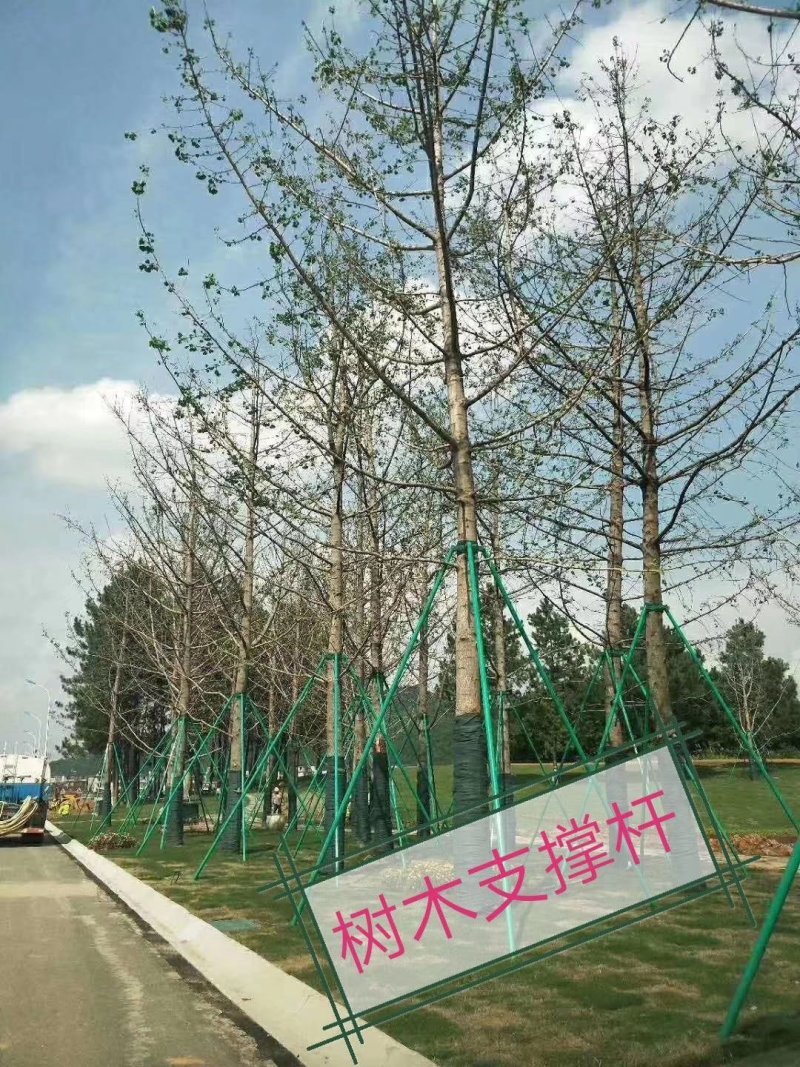 玻璃纤维杆，小拱棚杆，葡萄避雨棚，果苗定植杆等！