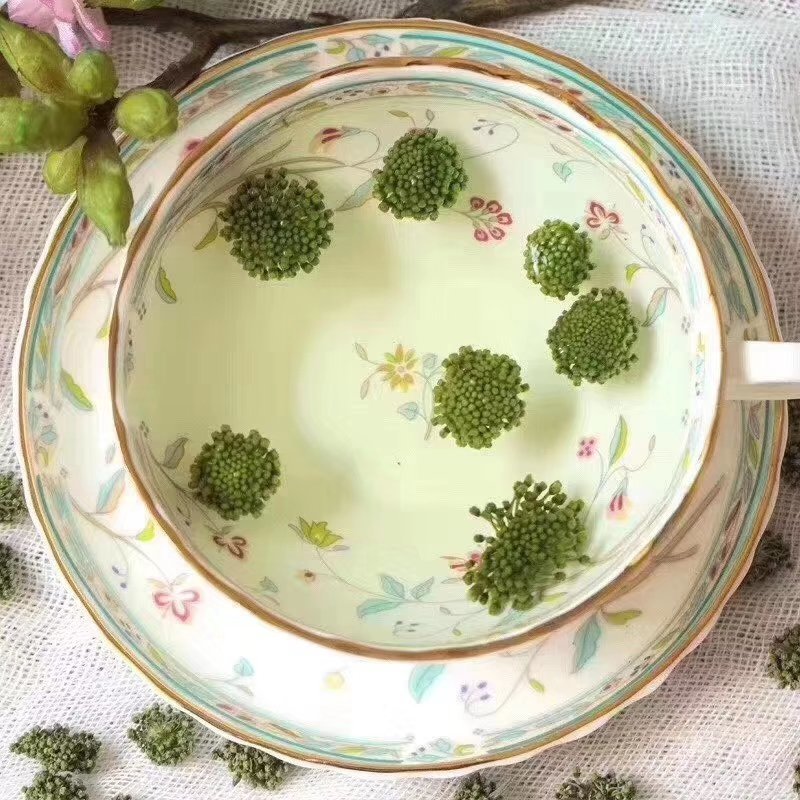 三七花无柄