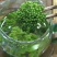 三七花无柄