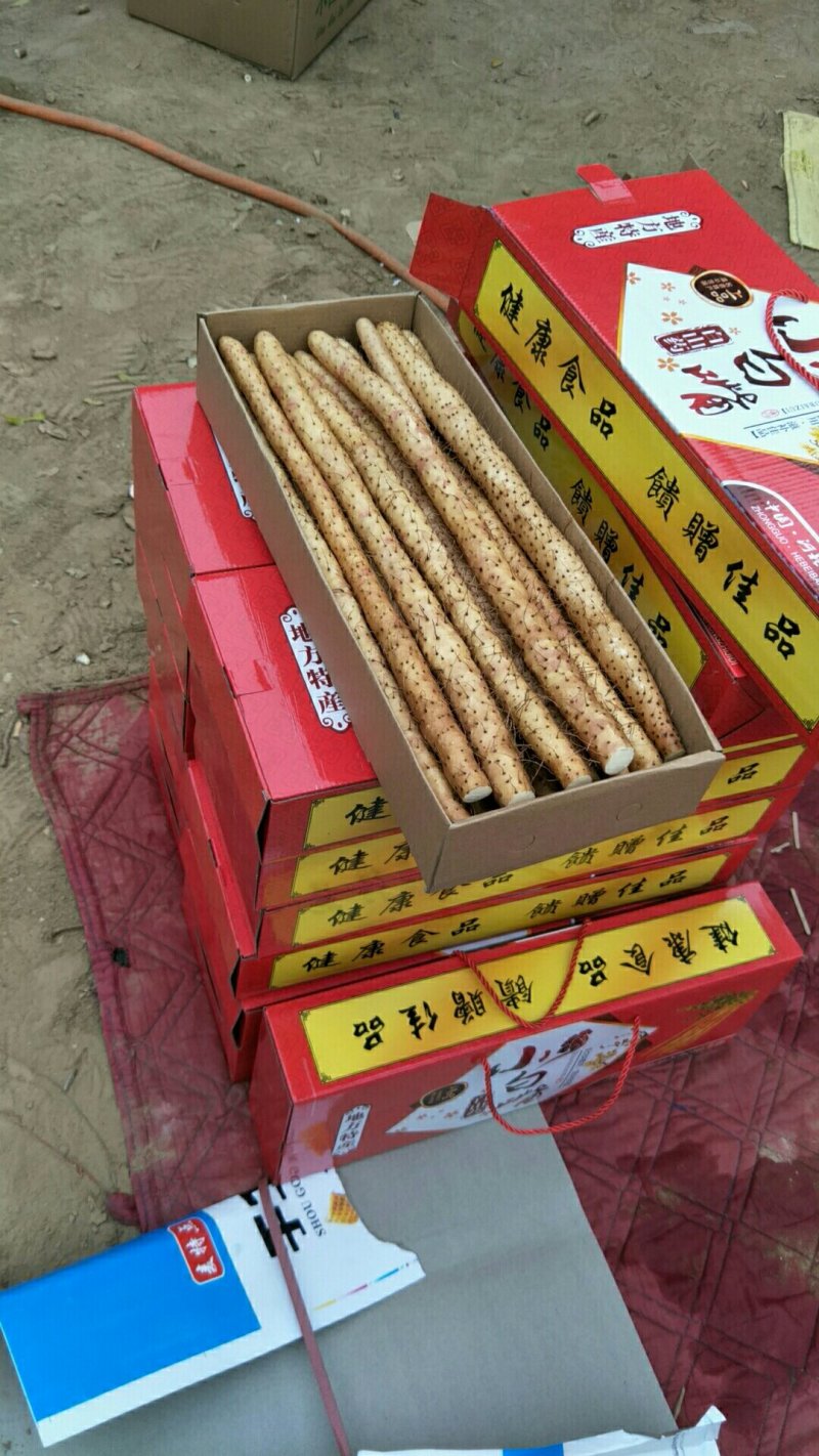 白山药小白嘴，精品网袋大量供应有需要的老板联系