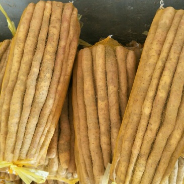 白山药小白嘴，精品网袋大量供应有需要的老板联系