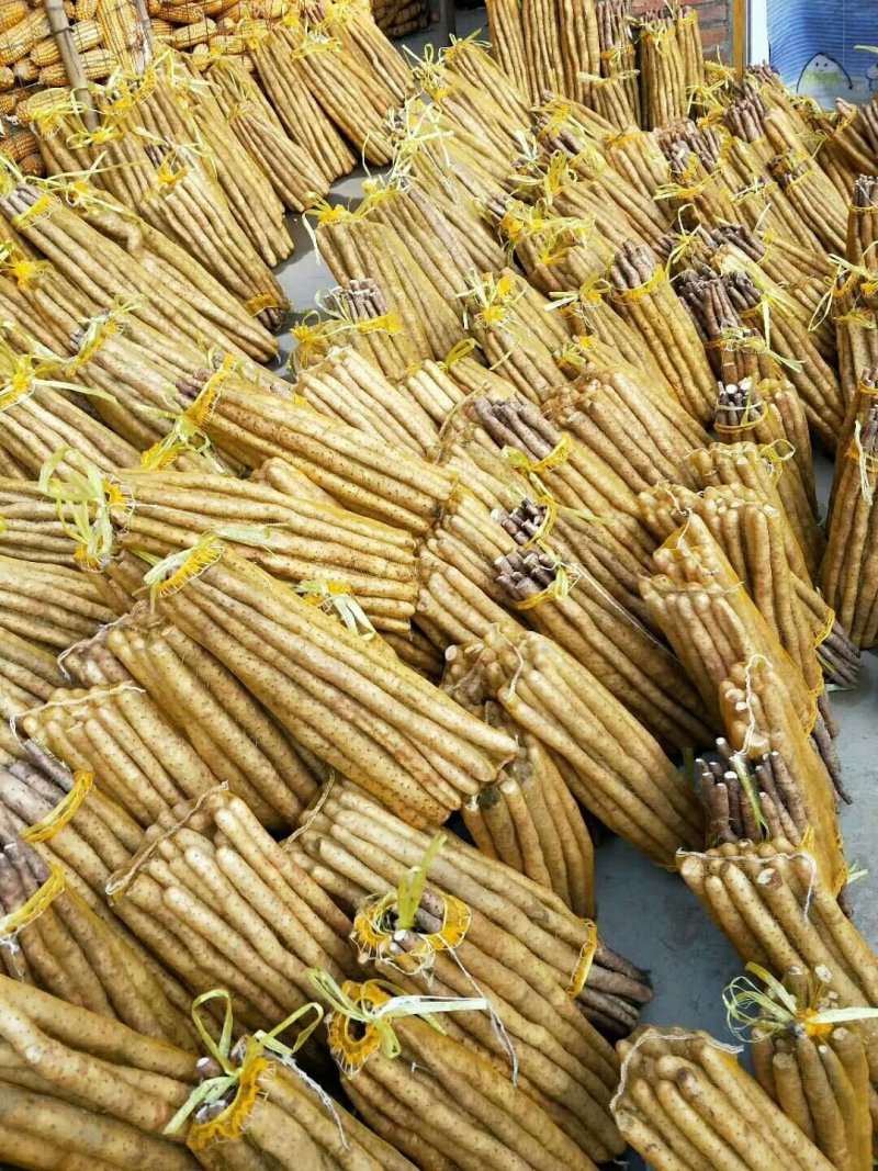 白山药小白嘴，精品网袋大量供应有需要的老板联系