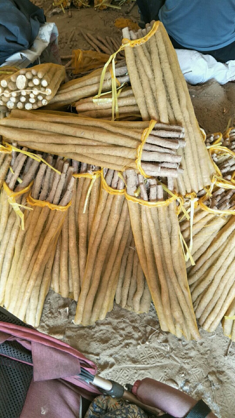 白山药小白嘴，精品网袋大量供应有需要的老板联系