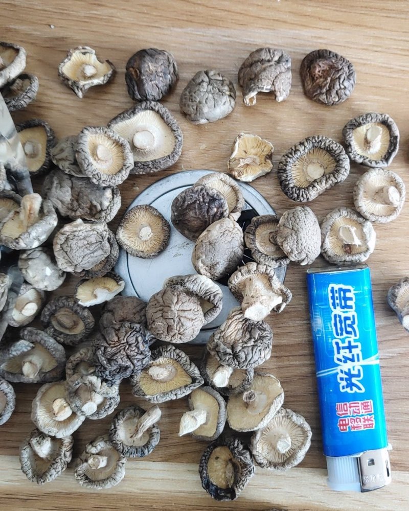 全国包邮云南精品食用菌野生菌干货小香菇