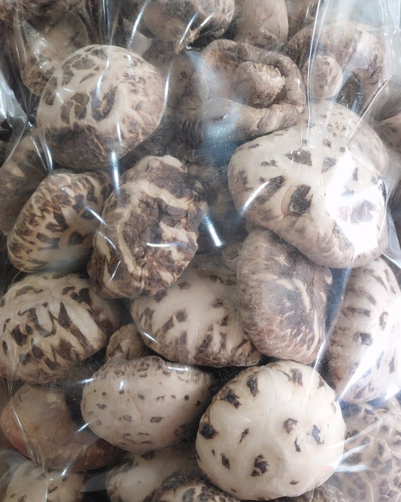 全国包邮云南精品食用菌野生菌干货大花香菇