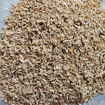 厂家供应质优牛场垫料稻壳粉除尘稻糠小米糠稻谷壳