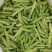 中豌6号9号豌豆量大，万亩基地，可视频看货，老豌豆量大