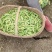 中豌6号9号豌豆量大，万亩基地，可视频看货，老豌豆量大