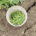中豌6号9号豌豆量大，万亩基地，可视频看货，老豌豆量大
