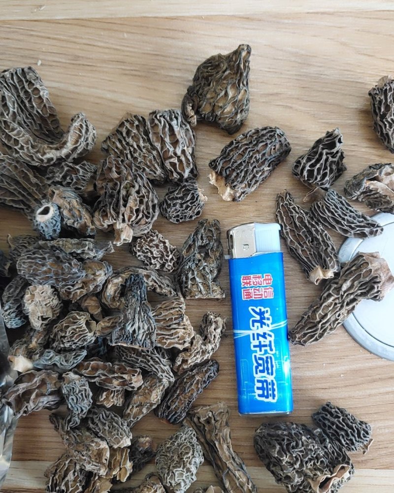 全国包邮云南精品食用菌野生菌野生羊肚菌。。