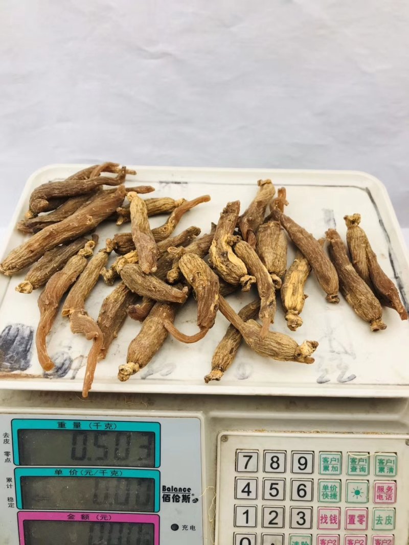 【产地直发包邮】无糖红参红参棒批发价位